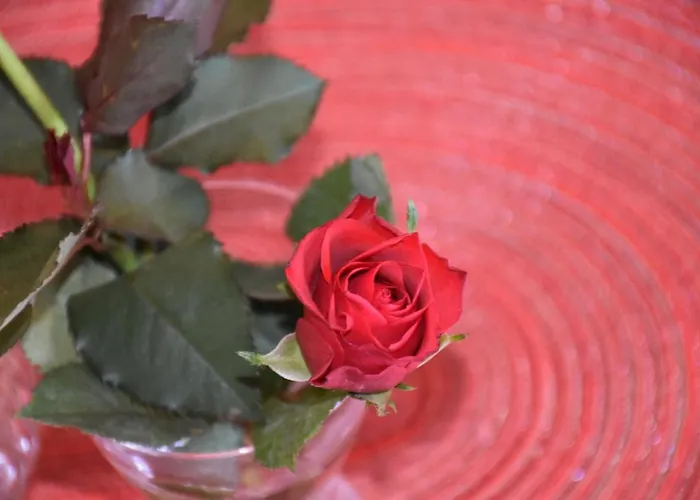 Apartamento Fewo-bernkastel-kues